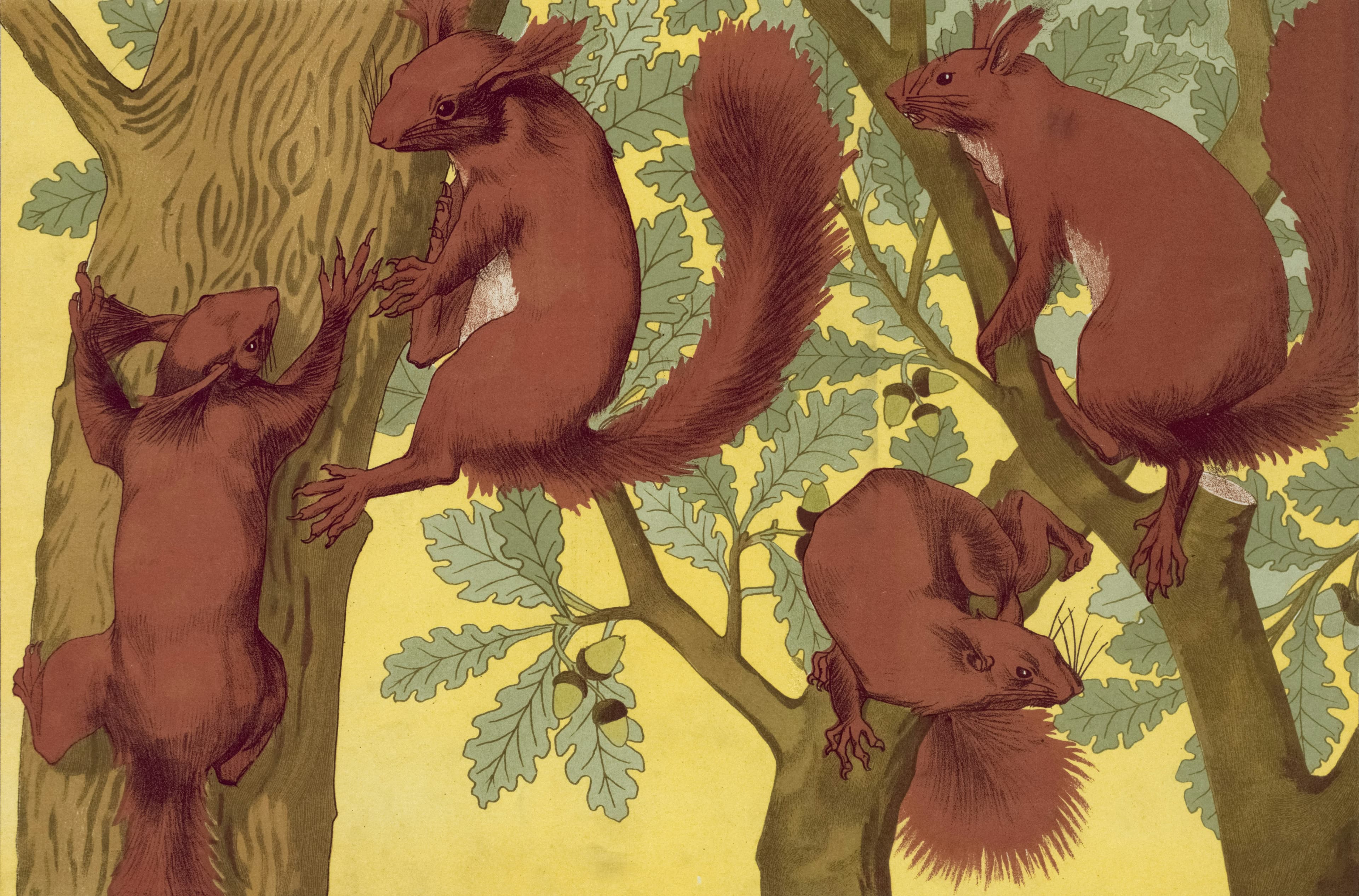Cover Image for Getting to grips with Apache Flink
